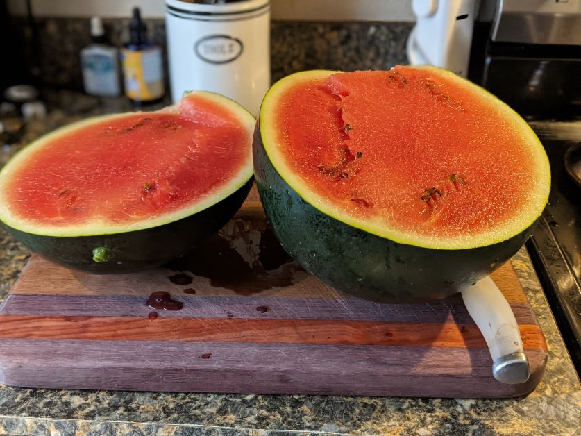 How to Grow Sugar Baby Watermelon - 