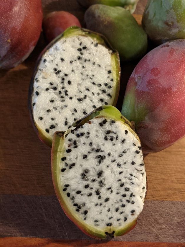 what is peruvian cactus apple