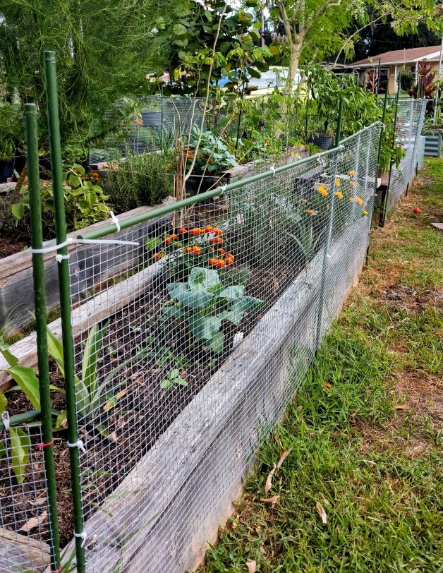 How To Build An Easy Diy Garden Fence Offbeet Gardener Com