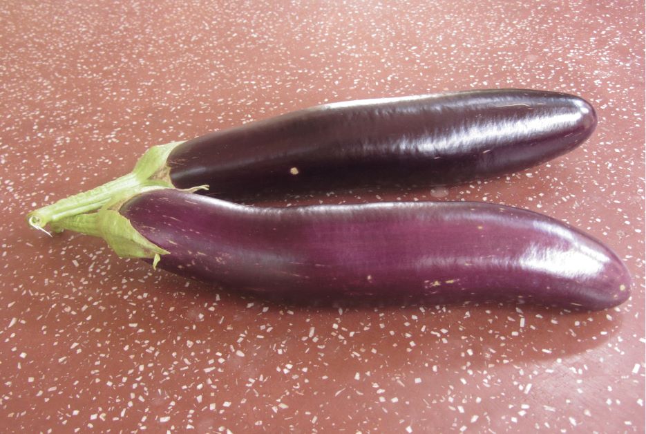 heirloom eggplant variety