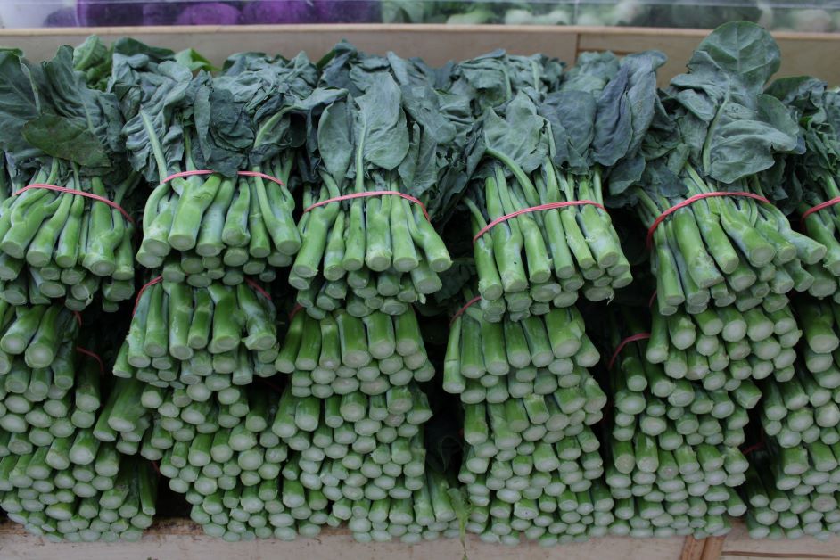 does gai lan grow in florida