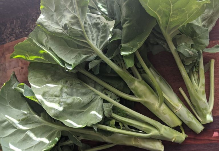 How to Grow Gai Lan