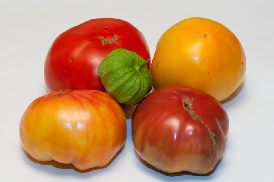 difference between tomato and tomatillo