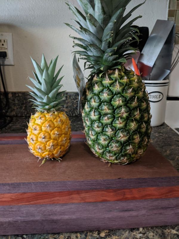 how to grow a pineapple top