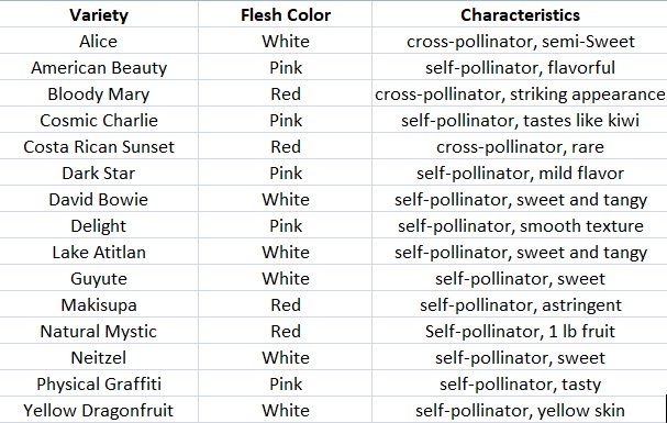 table showing different types of dragonfruit