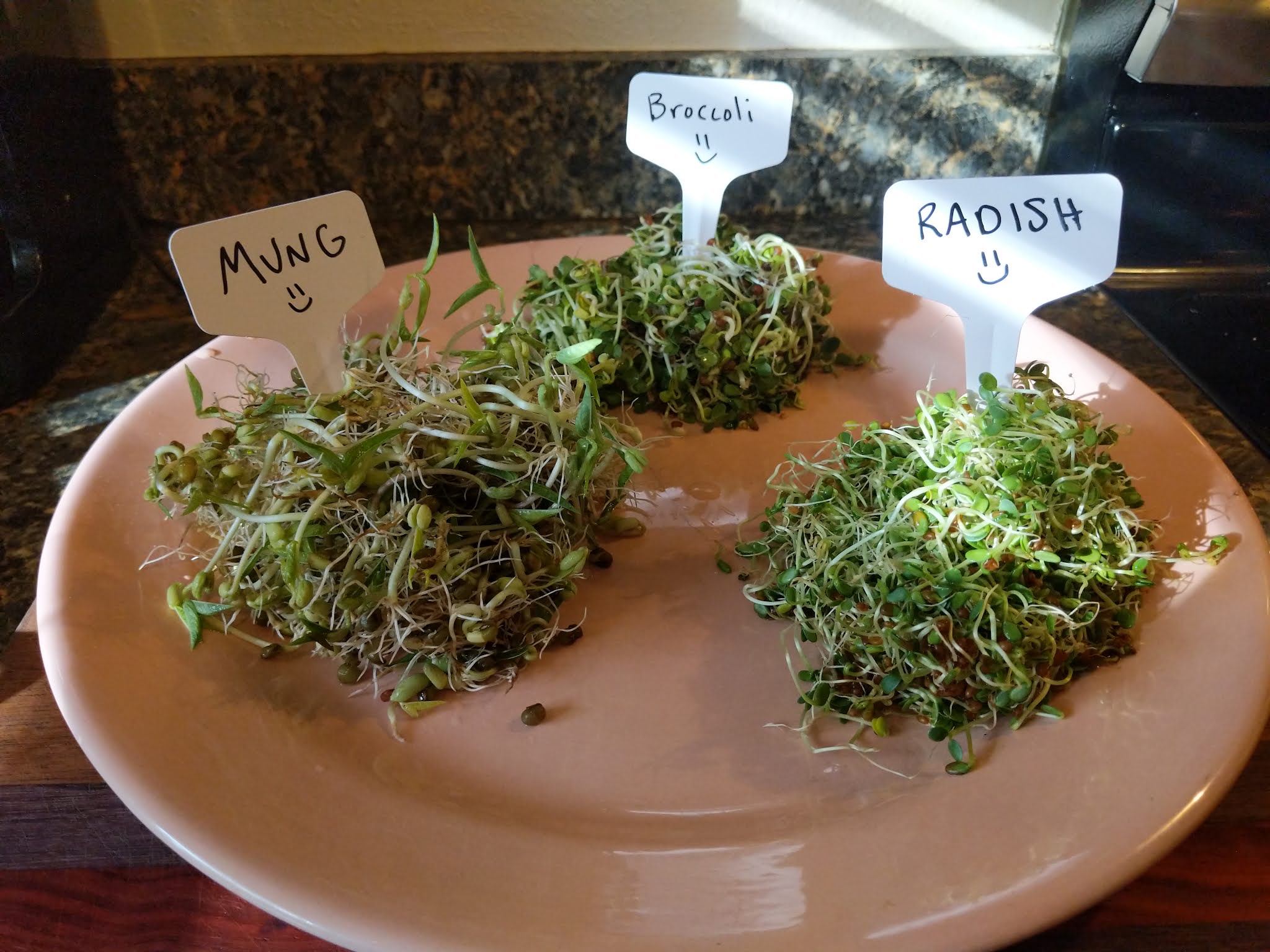 three different types of sprouts on plate