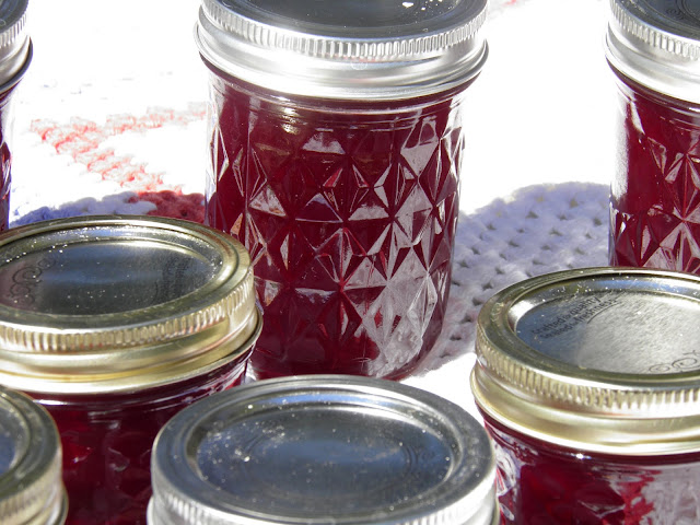 beautyberry jelly in jars