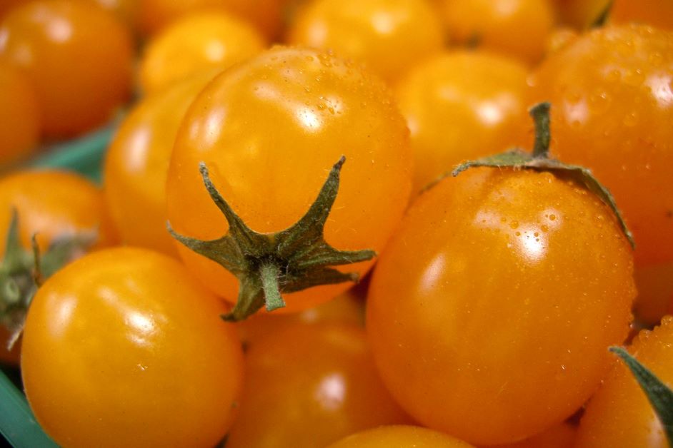 yellow cherry tomatoes