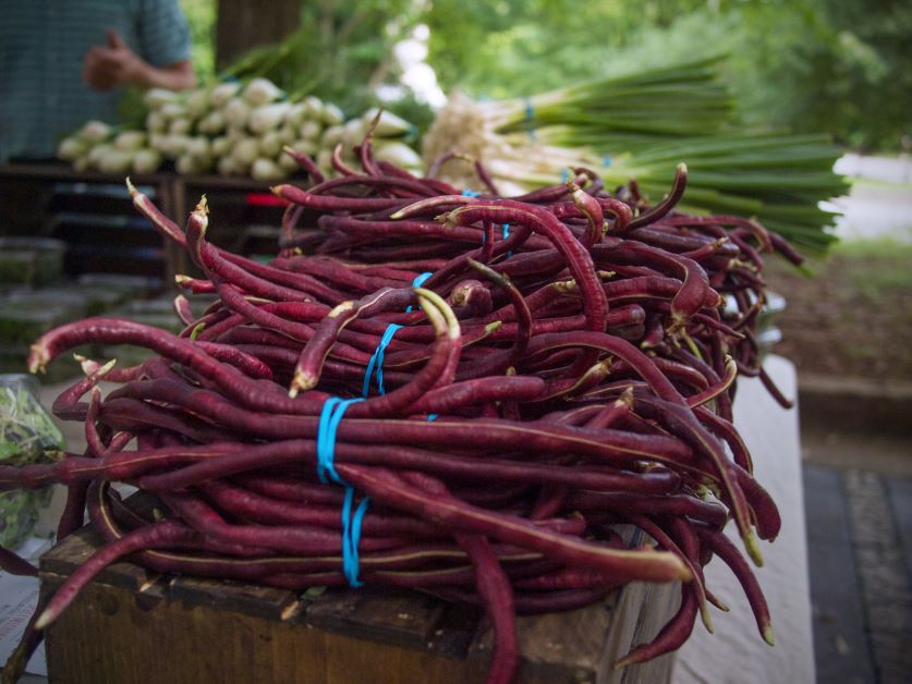 red noodle beans