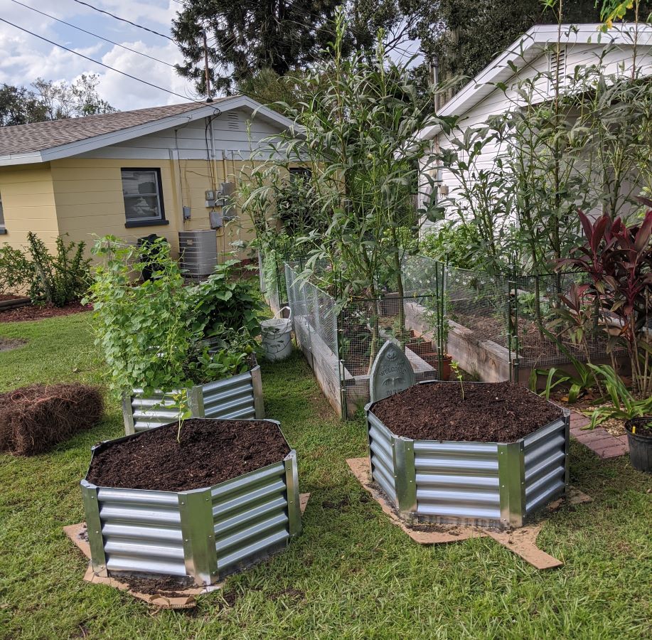 galvanized steel raised garden beds