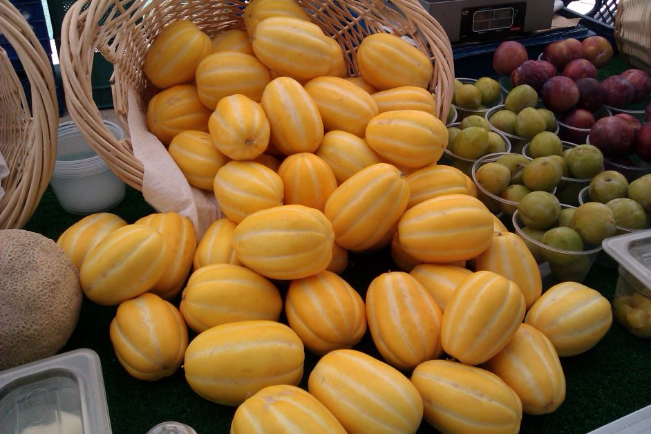 chamoe melons