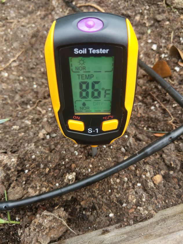 soil temperature in my wooden bed