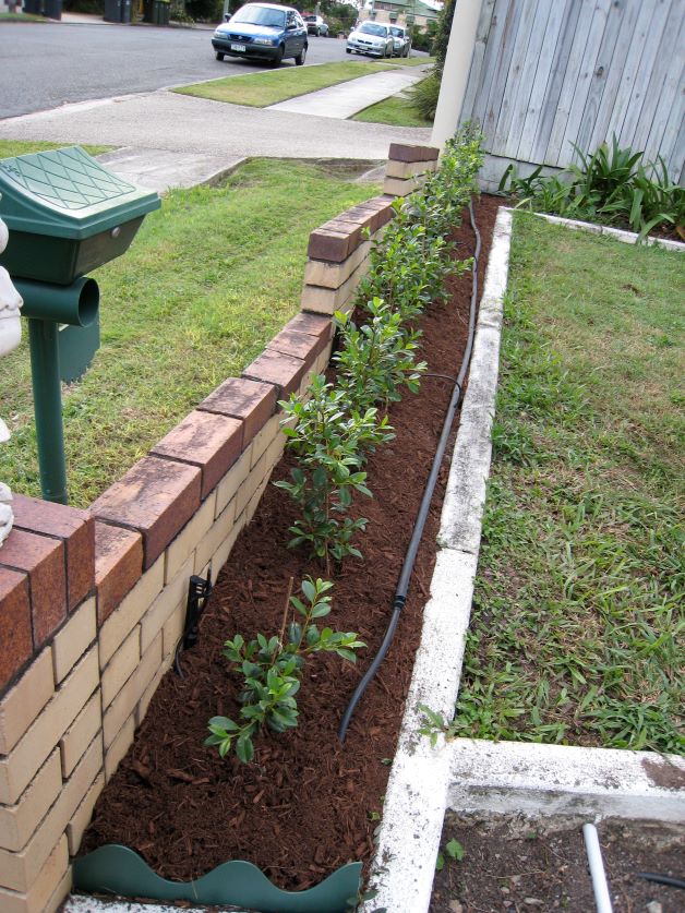 snowbird vegetable gardening