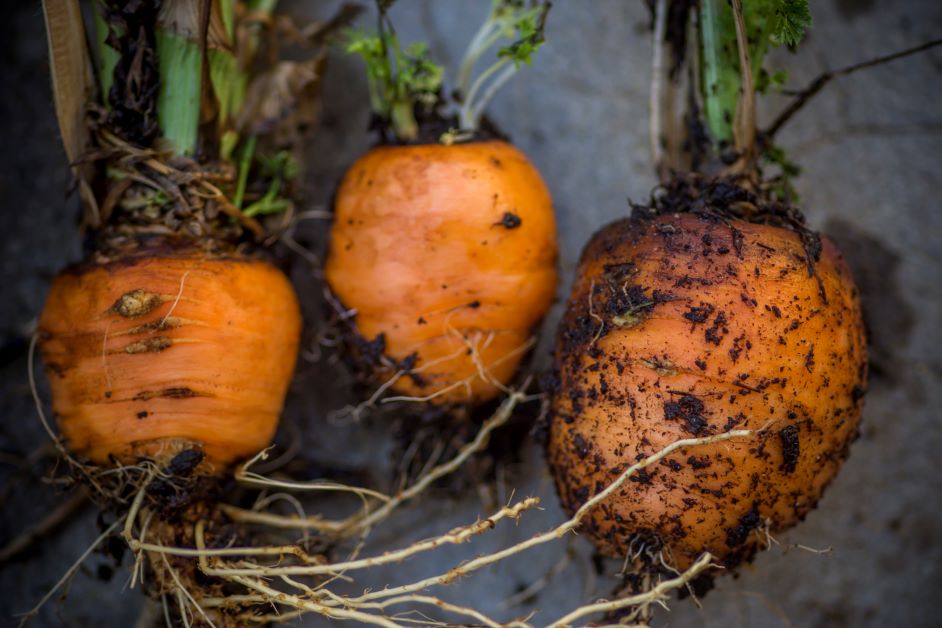 parisian carrots