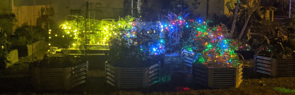 do christmas lights protect a garden from frost